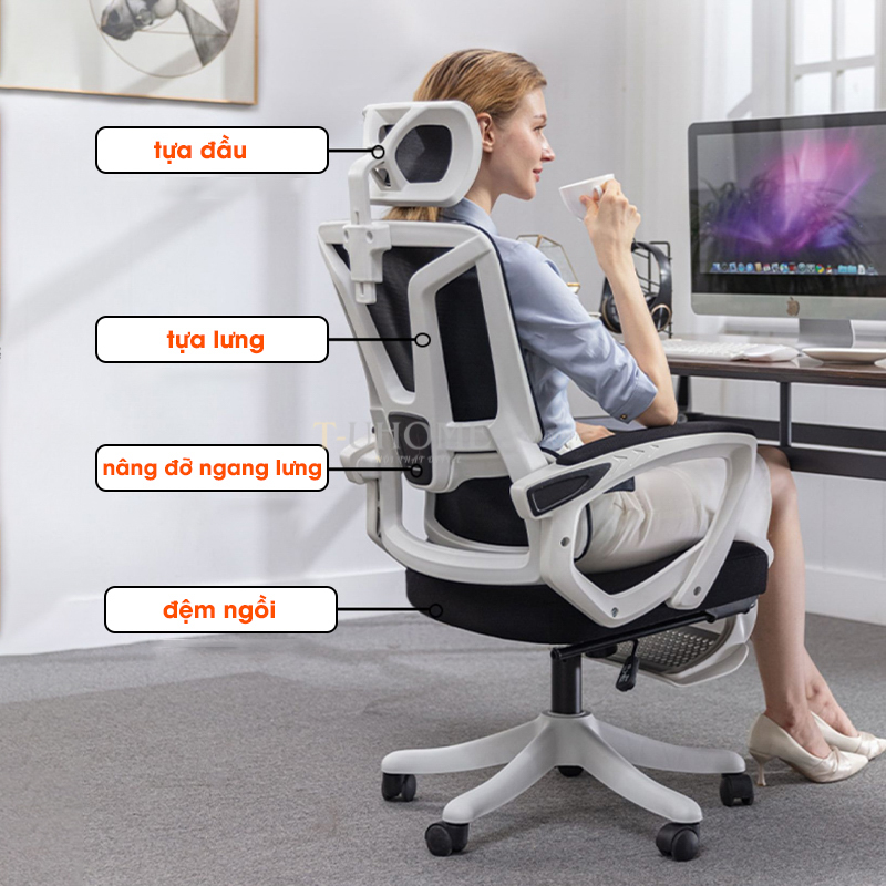 ghe-cong-thai-hoc-ghe-van-phong-nga-lung2