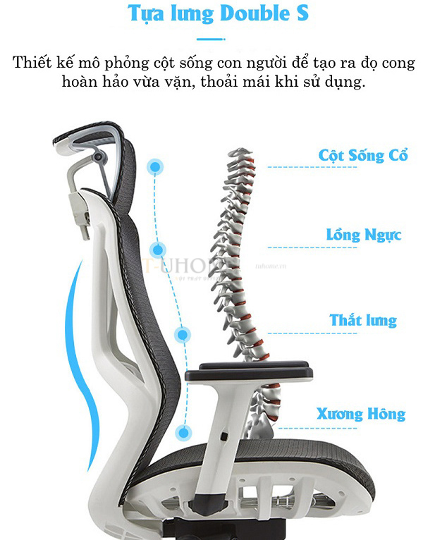 ghe-xoay-lung-luoi-cong-thai-hoc-ghe-truong-phong-giam-doc-chong-dau-lung